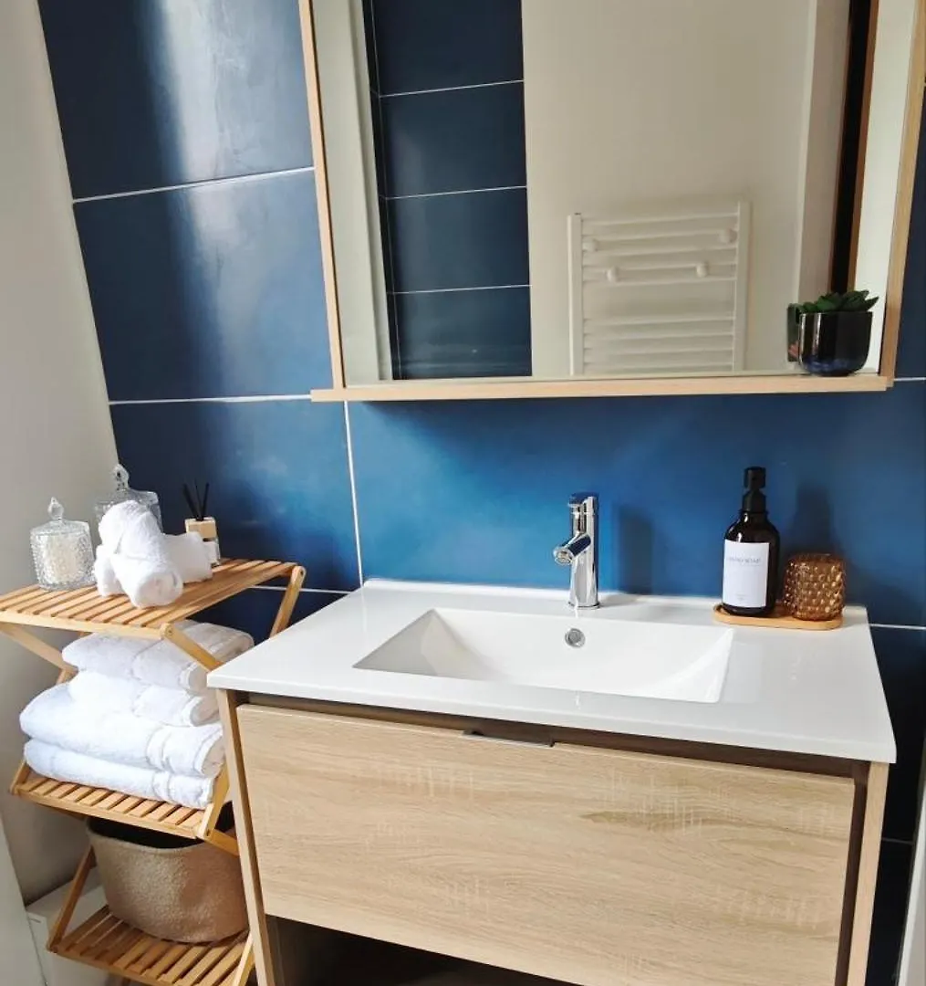 Appartement T2 Coeur De 디난
